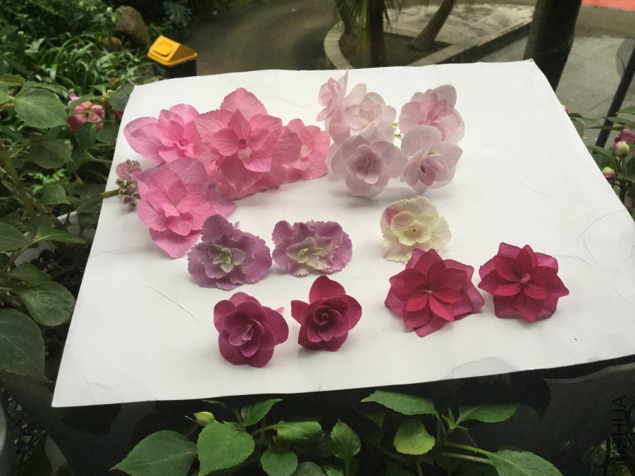 QQͼƬ20190413153601.jpg