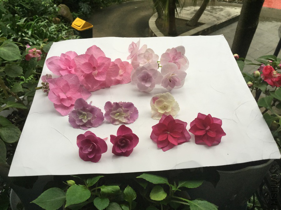 QQͼƬ20190413153625.jpg