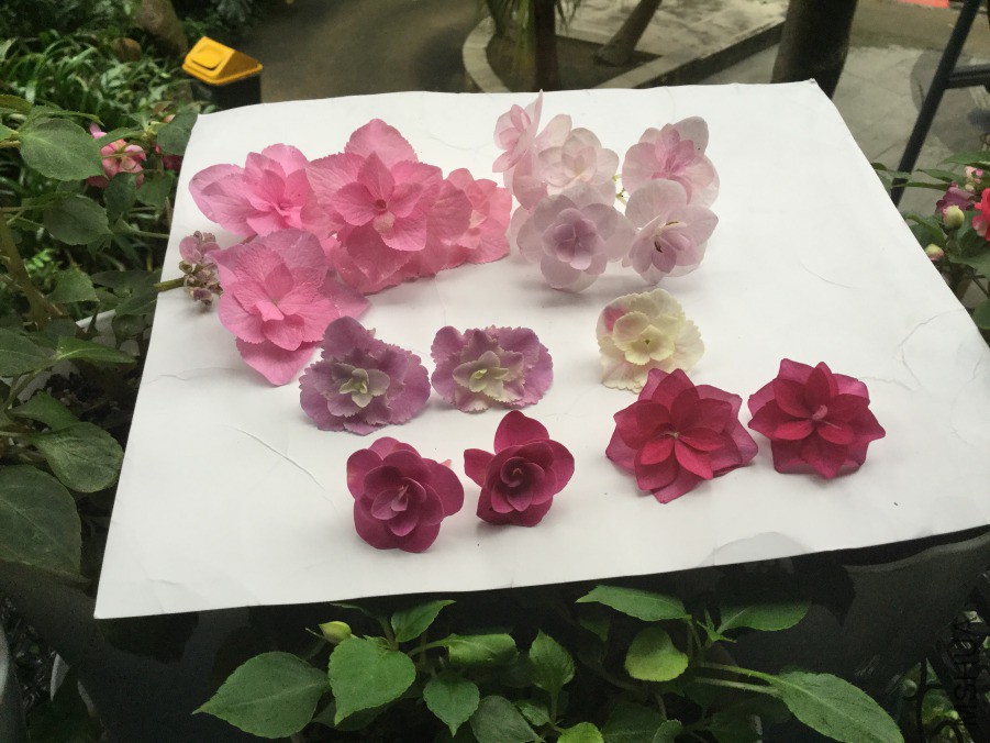 QQͼƬ20190413153632.jpg