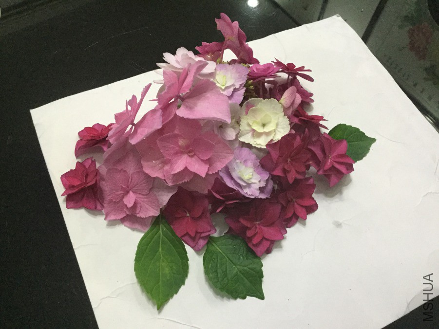 QQͼƬ20190413153643.jpg