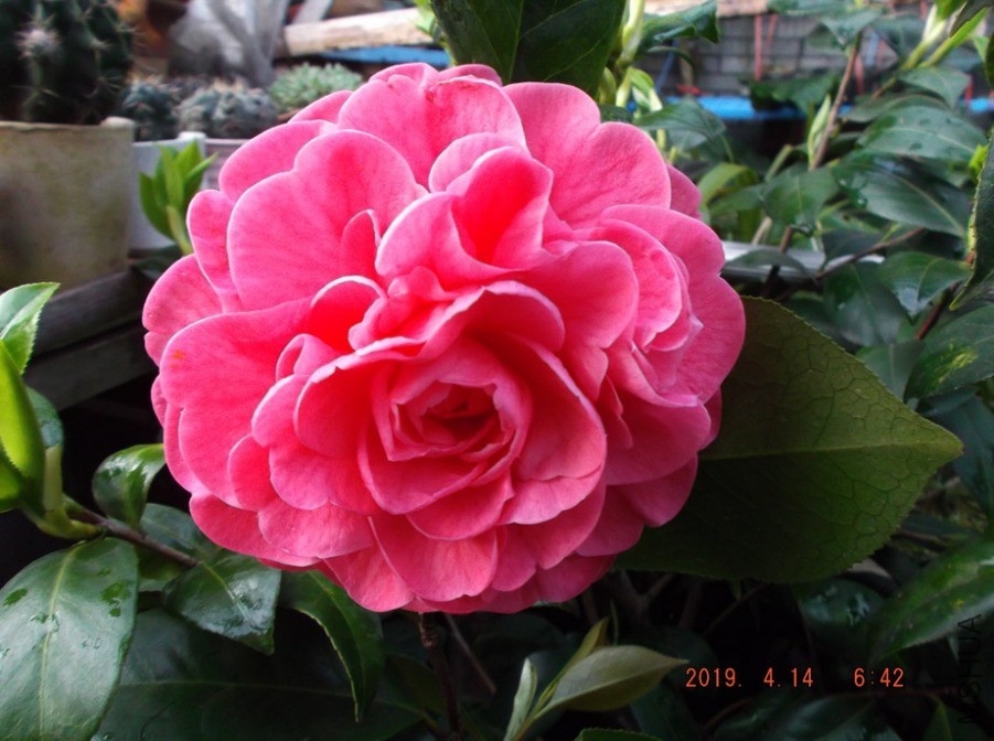 2019-10-14JX 028 ����w.jpg