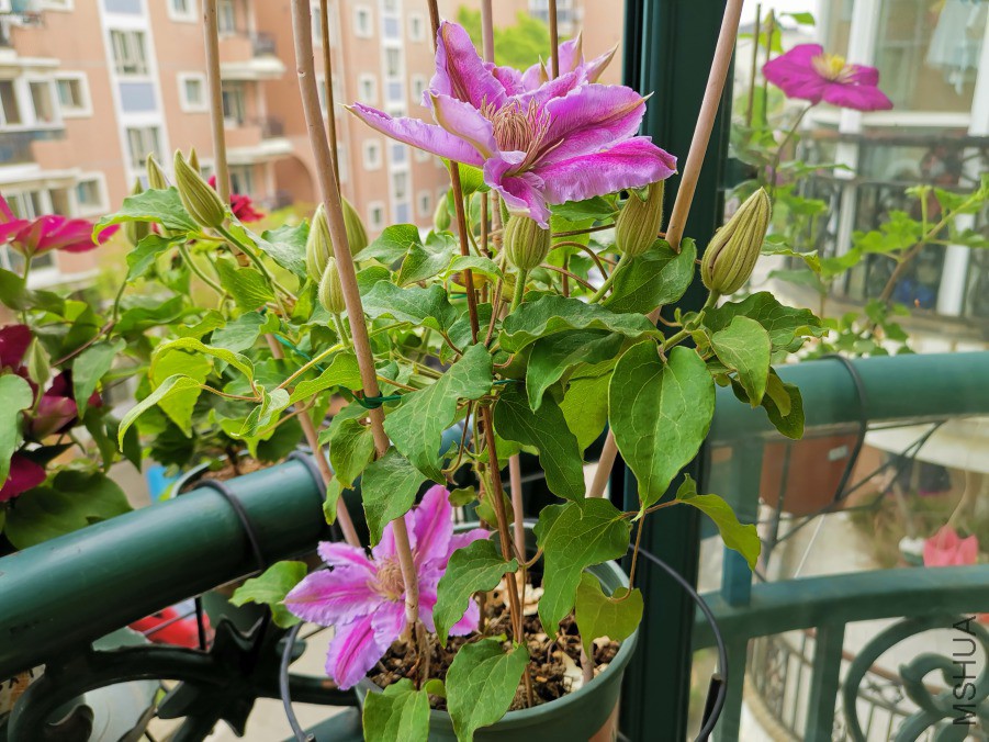 IMG_20190414_122829.jpg