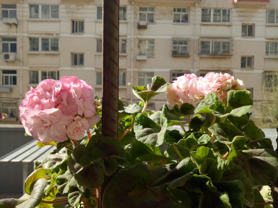 IMG20190414090206.jpg