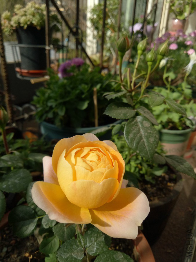 IMG20190413090431.jpg