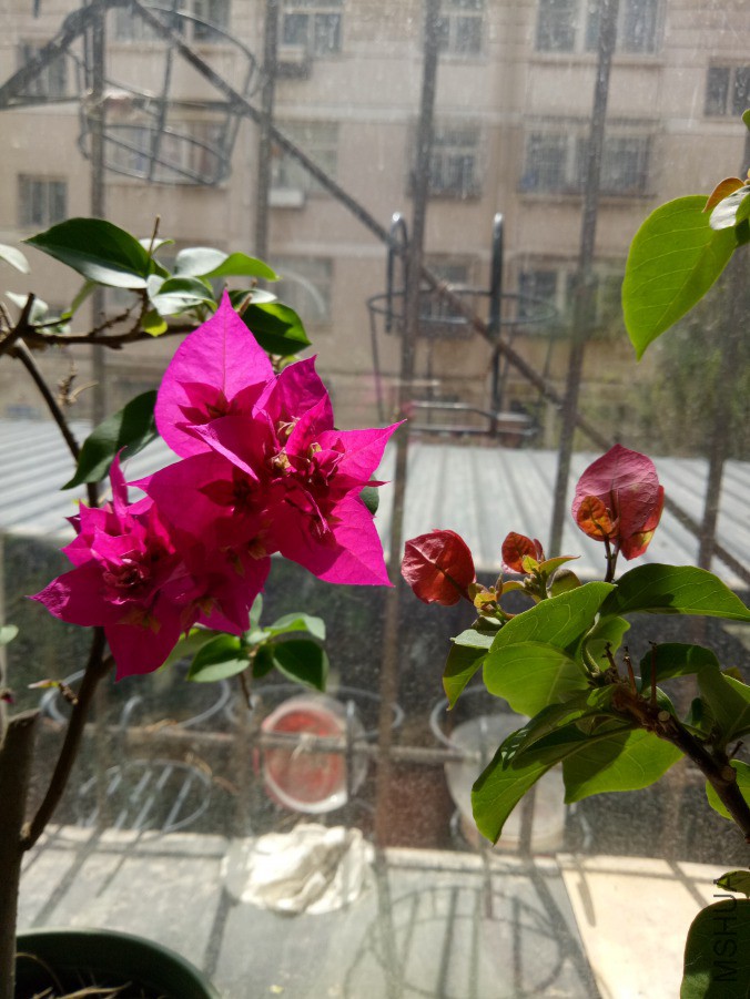 IMG20190413120540.jpg