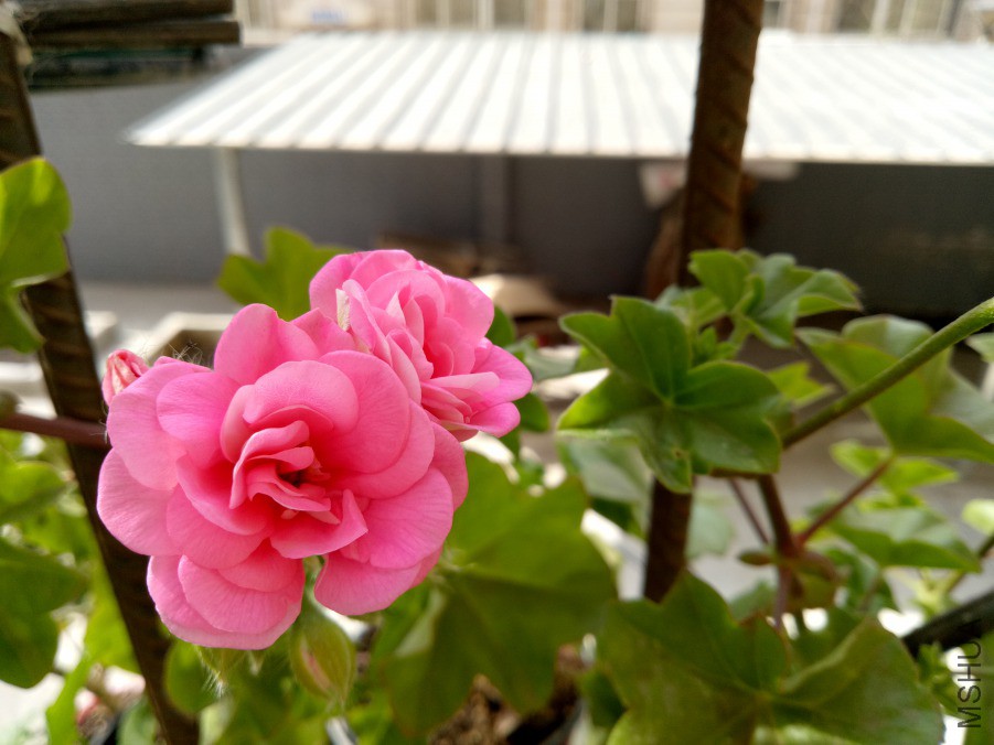 IMG20190413090405.jpg