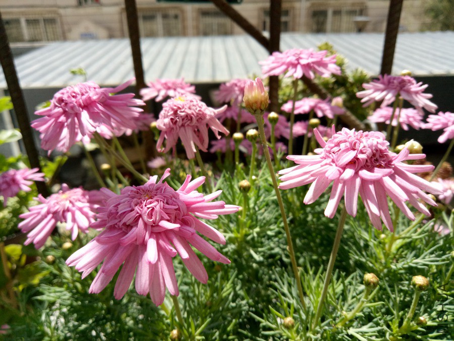 IMG20190410120130.jpg