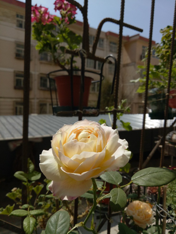 IMG20190410120045.jpg