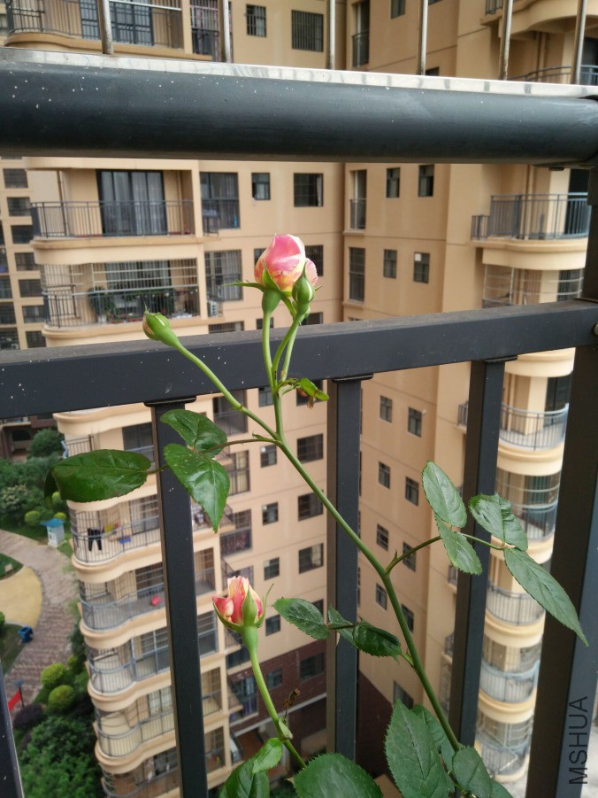 QQͼƬ20190415013702.jpg