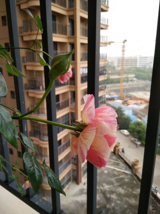 QQͼƬ20190415013724.jpg