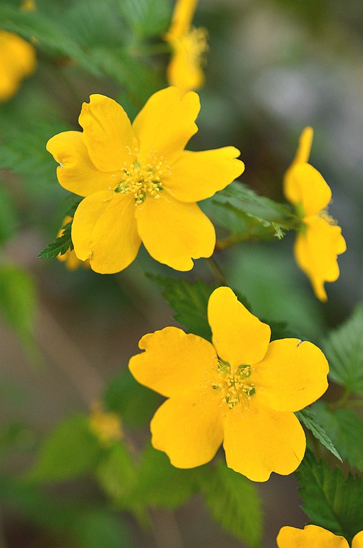 Ǿޱ�����2.JPG