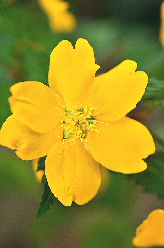 Ǿޱ����� 8.JPG