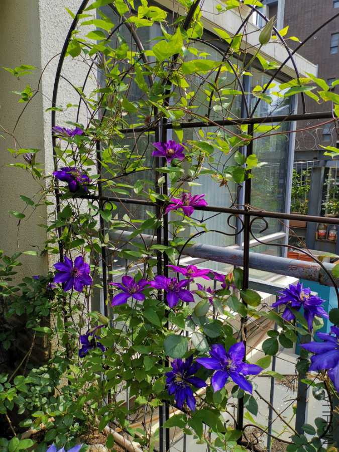 IMG_20190416_102117.jpg