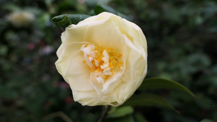 P1740002�Ƶ�����.jpg