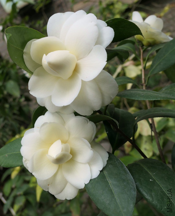P1740976�ƴ�.jpg