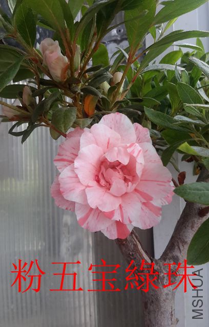 20190416_080341_����.jpg
