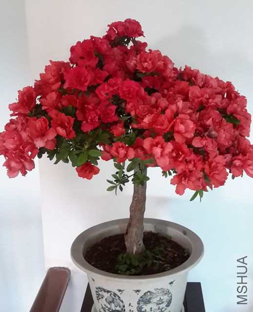 20190417_085412_����.jpg