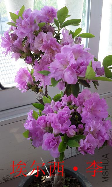 20190417_085549_����.jpg