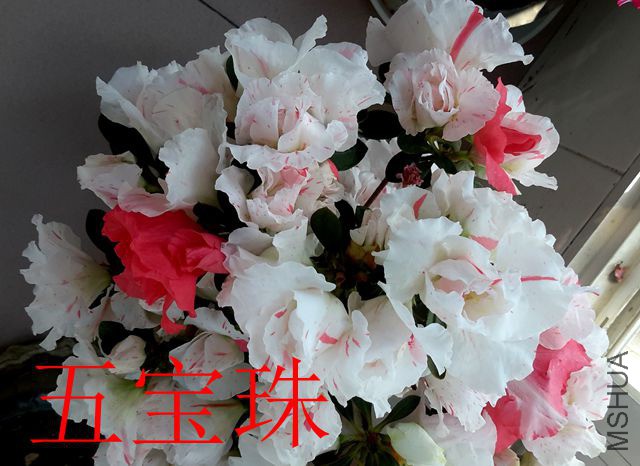 20190417_085615_����_����.jpg