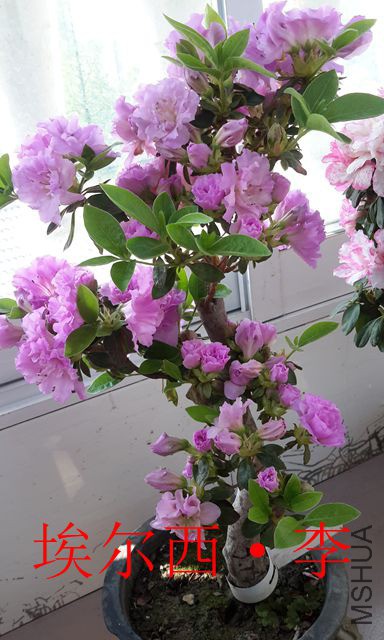 20190417_085536_����.jpg