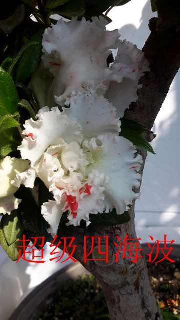 20190417_085736_����.jpg