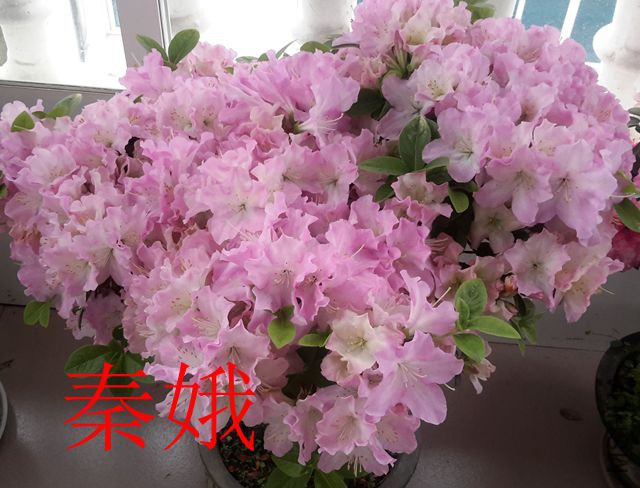 20190416_075620_����.jpg
