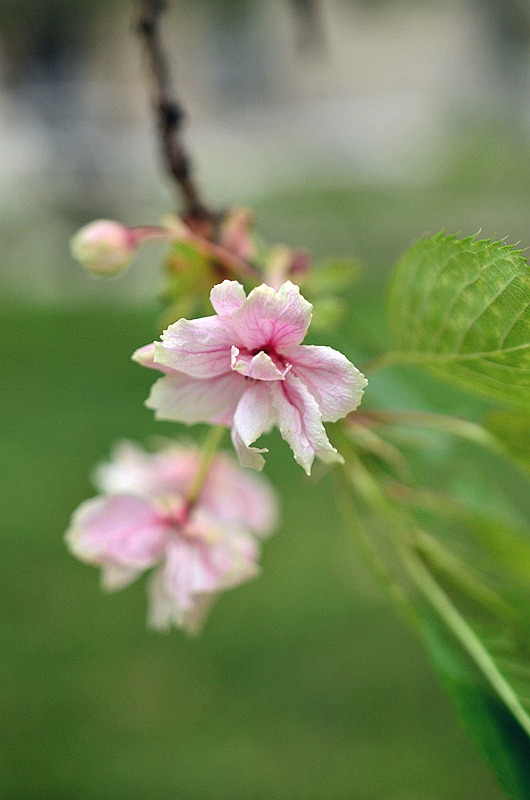 Ǿޱ����ӣ��������ӣ��8.JPG