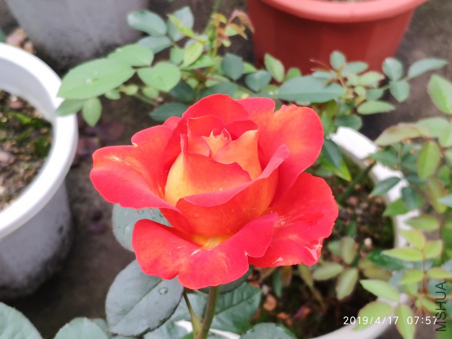 20190417_1.jpg