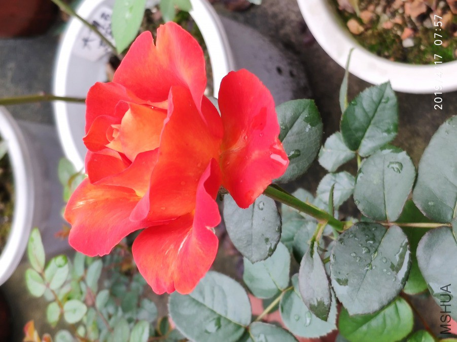 20190417_2.jpg