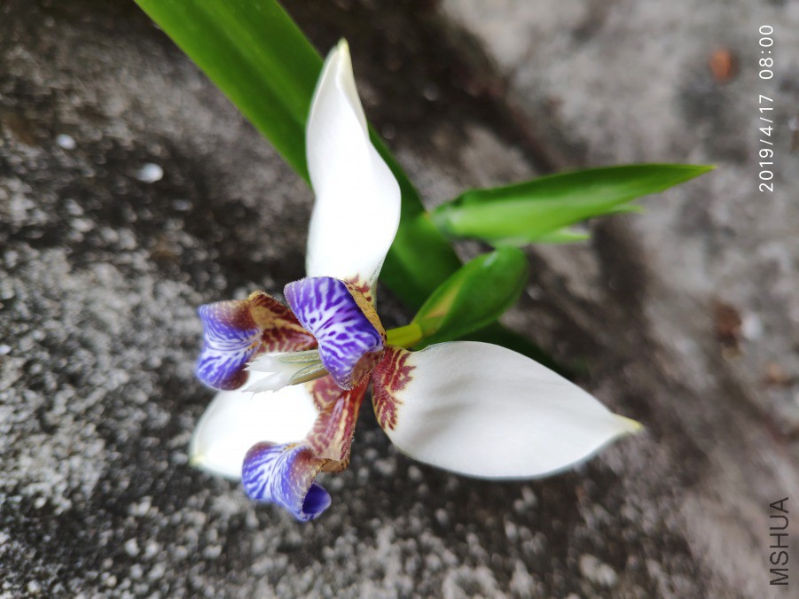 20190417_4.jpg