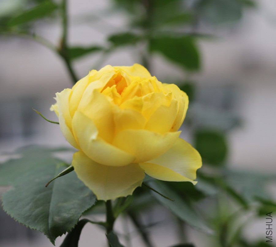 IMG_20190417_181721.jpg