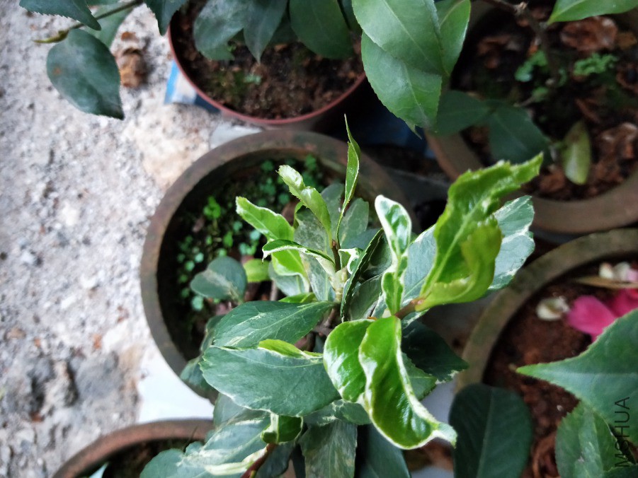 IMG20190413180254.jpg