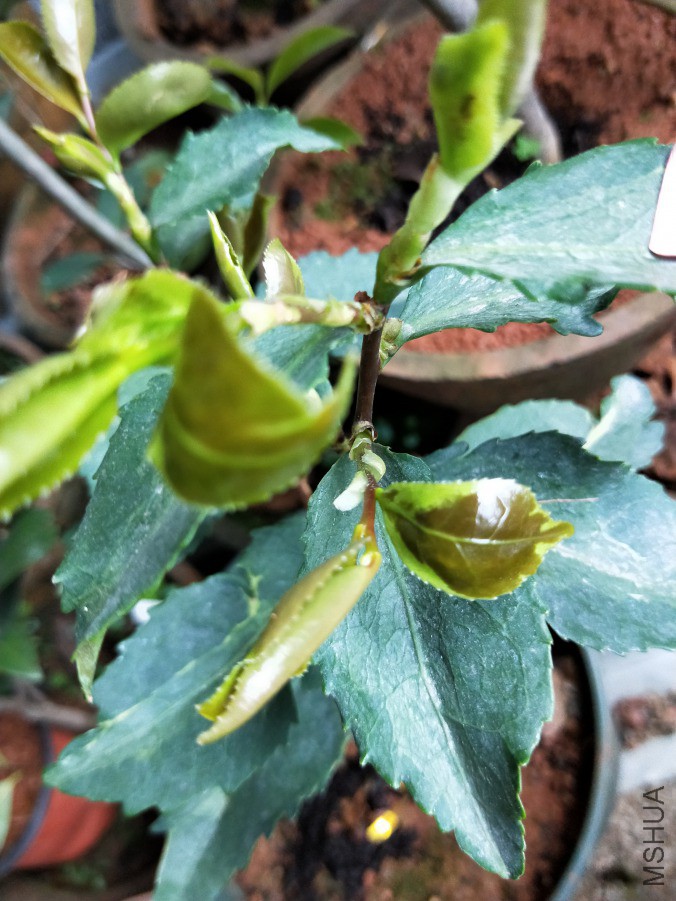 IMG20190417085021.jpg