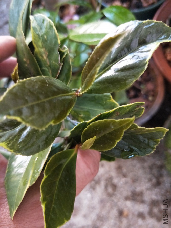 IMG20190417144917.jpg