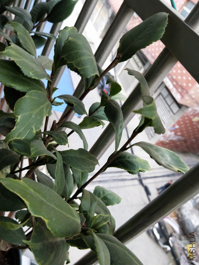 IMG20190417182621.jpg
