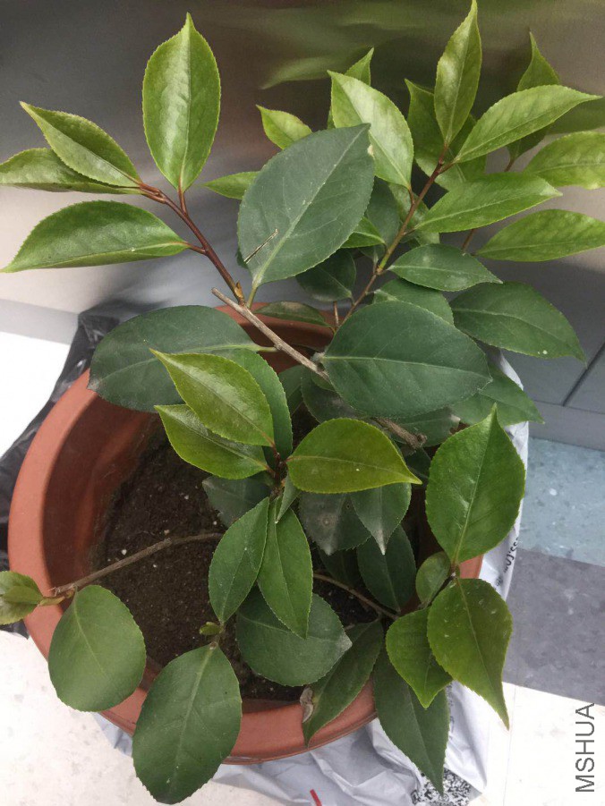 ΢��ͼƬ_20190418074352.jpg