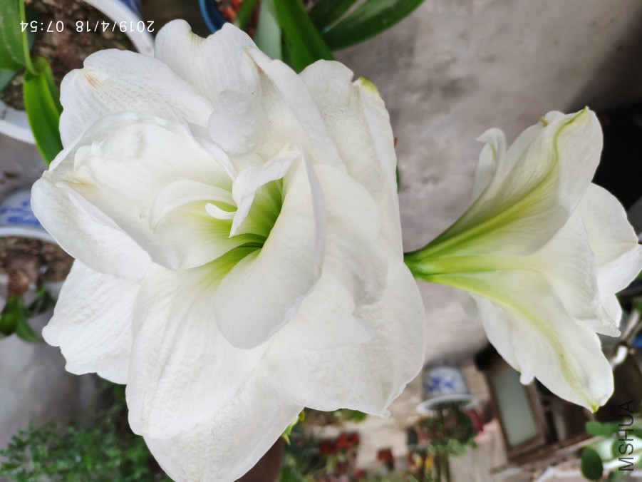 20190418_5.jpg