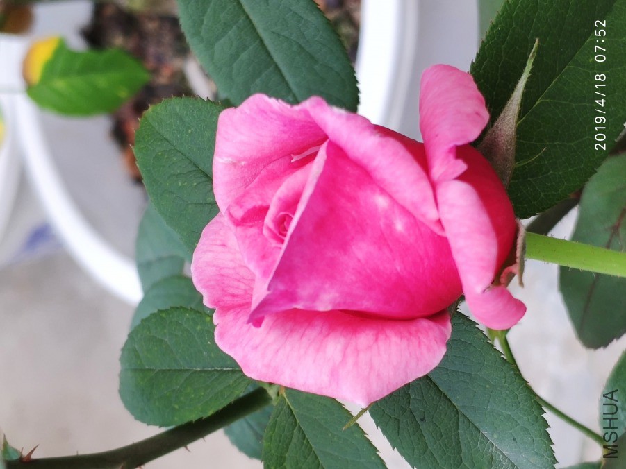20190418_6.jpg