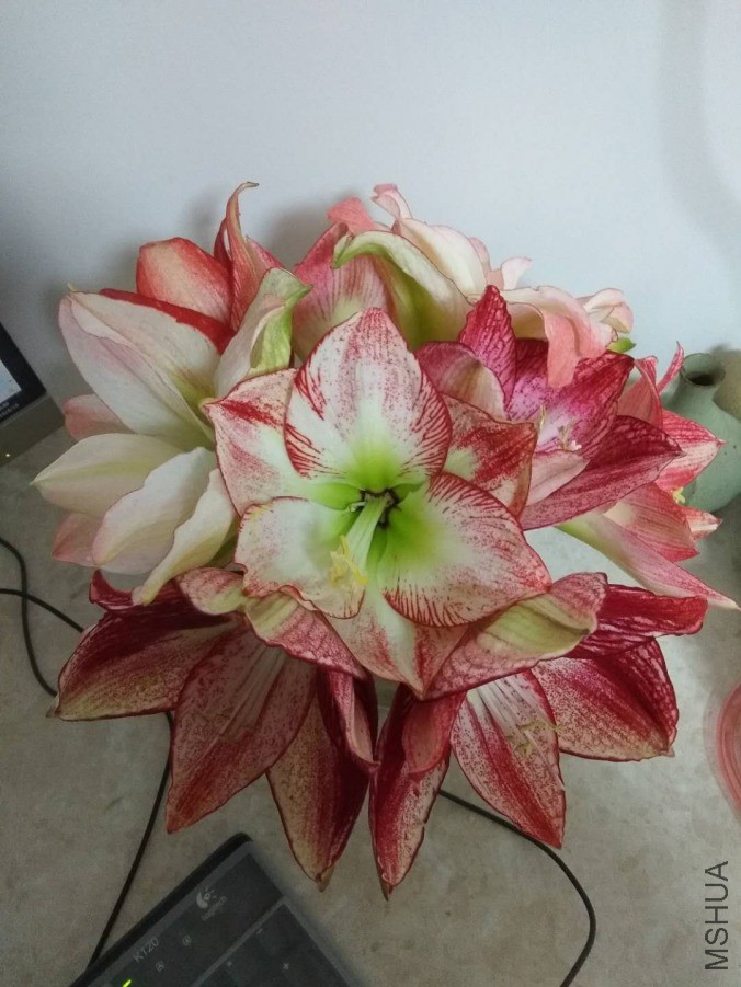΢��ͼƬ_20190418105042.jpg
