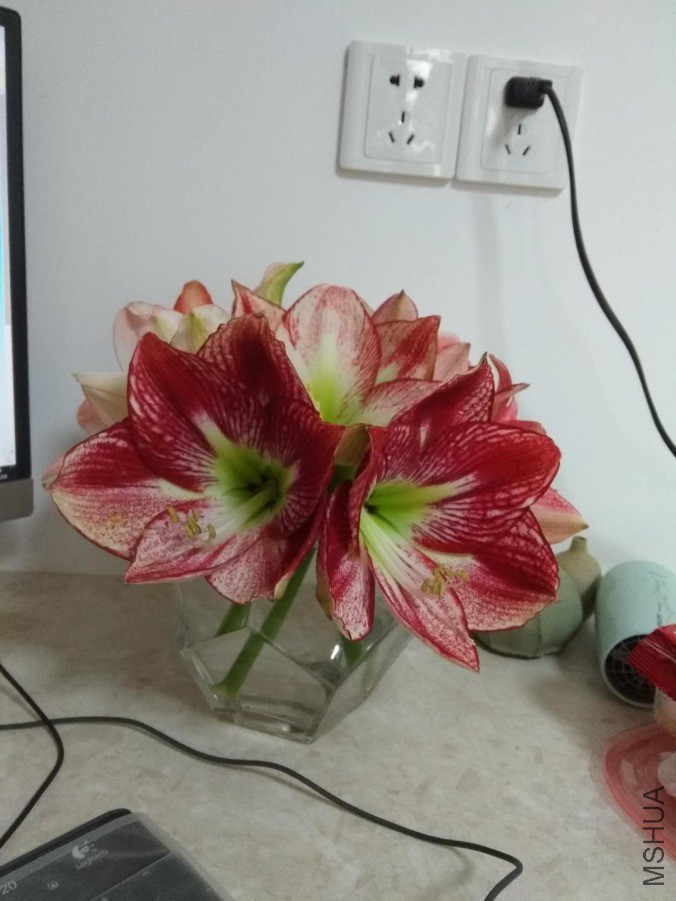 ΢��ͼƬ_20190418105049.jpg