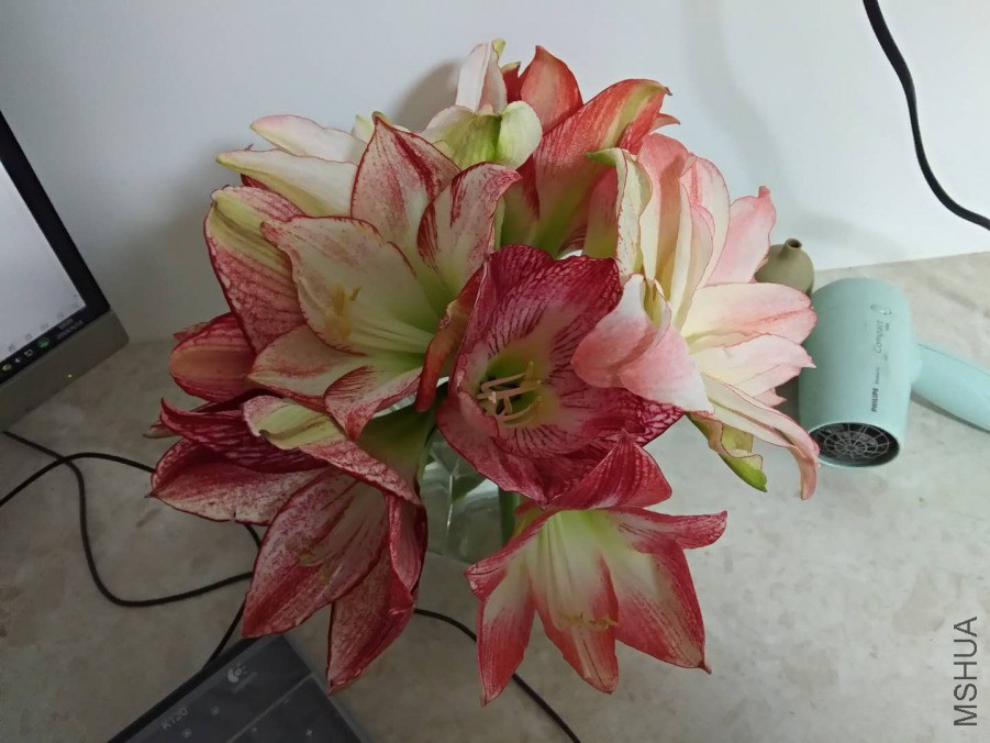 ΢��ͼƬ_20190418104924.jpg