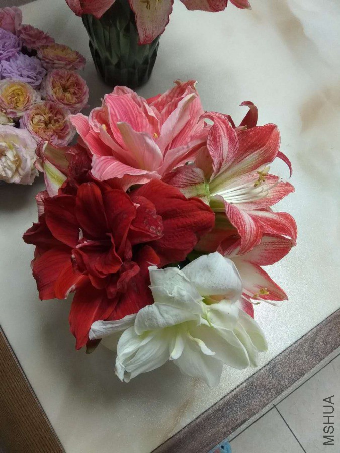 ΢��ͼƬ_20190418104821.jpg