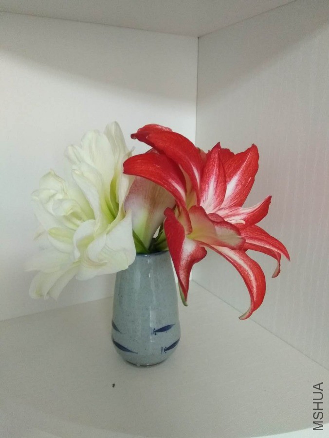 ΢��ͼƬ_20190418104813.jpg
