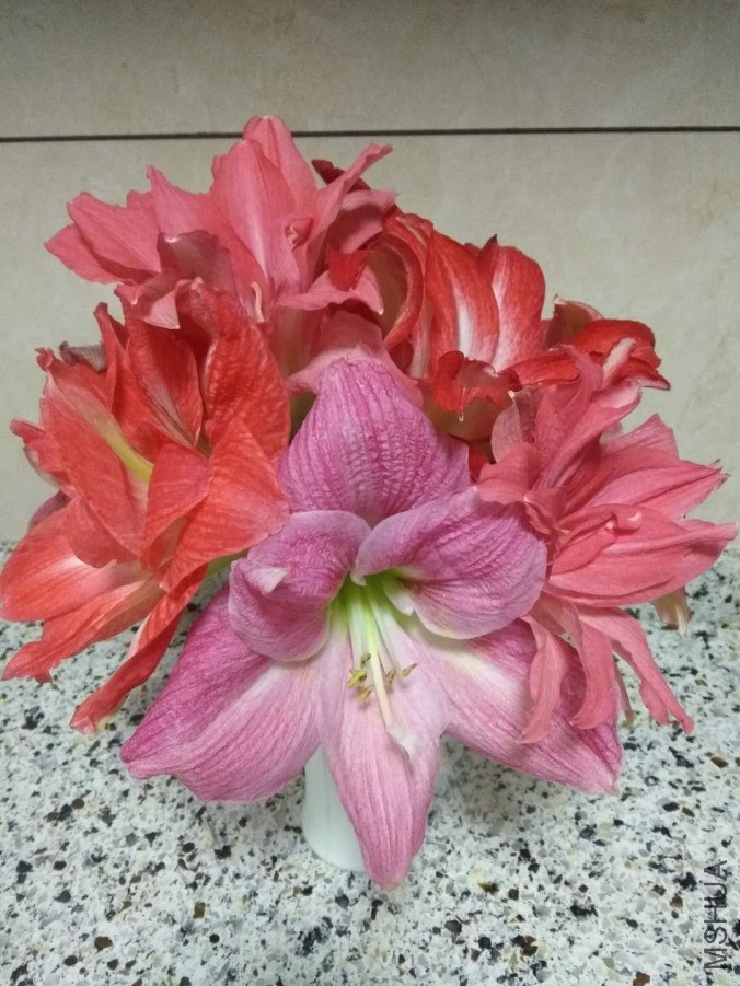 ΢��ͼƬ_20190418105416.jpg