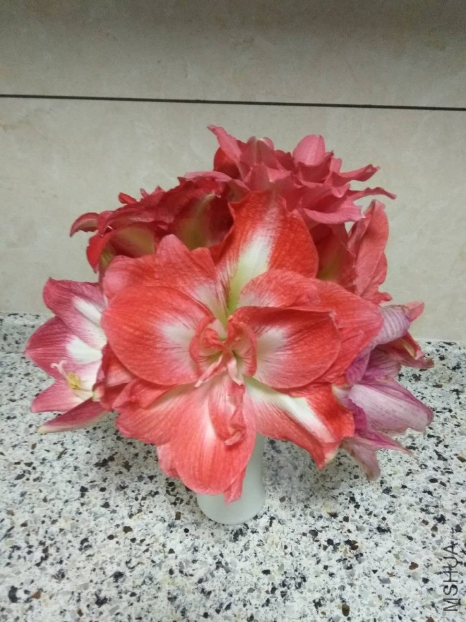 ΢��ͼƬ_20190418105423.jpg