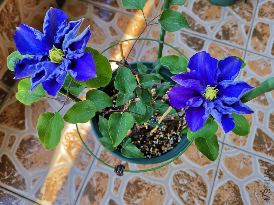 IMG_20190418_075759.jpg