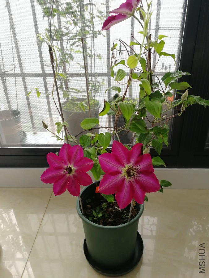 IMG_20190414_100519.jpg