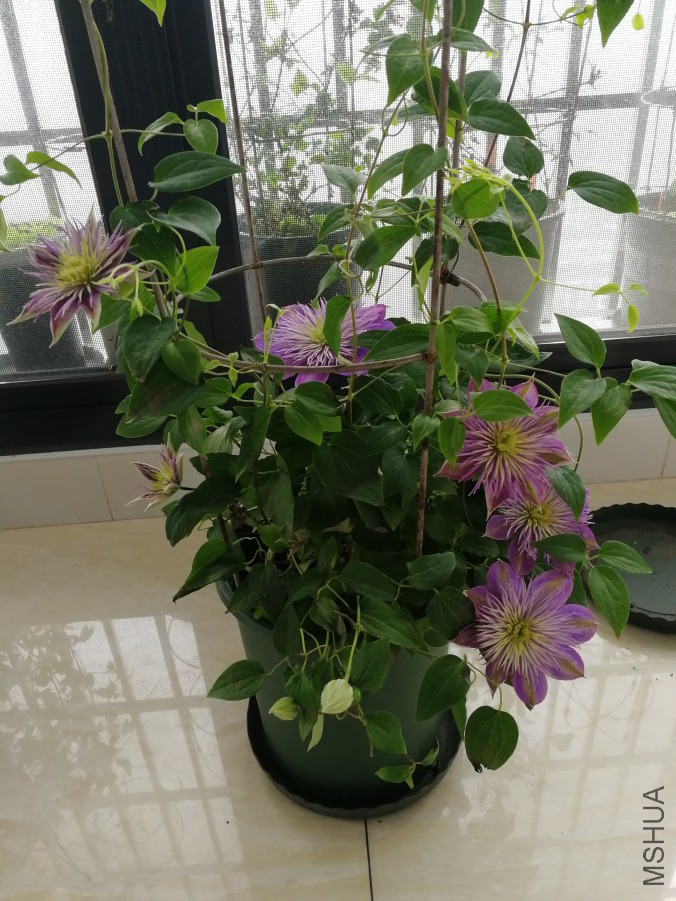 IMG_20190414_100554.jpg