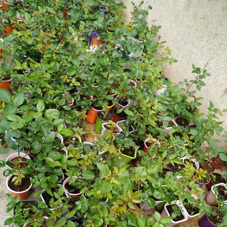 P90418-083338.jpg
