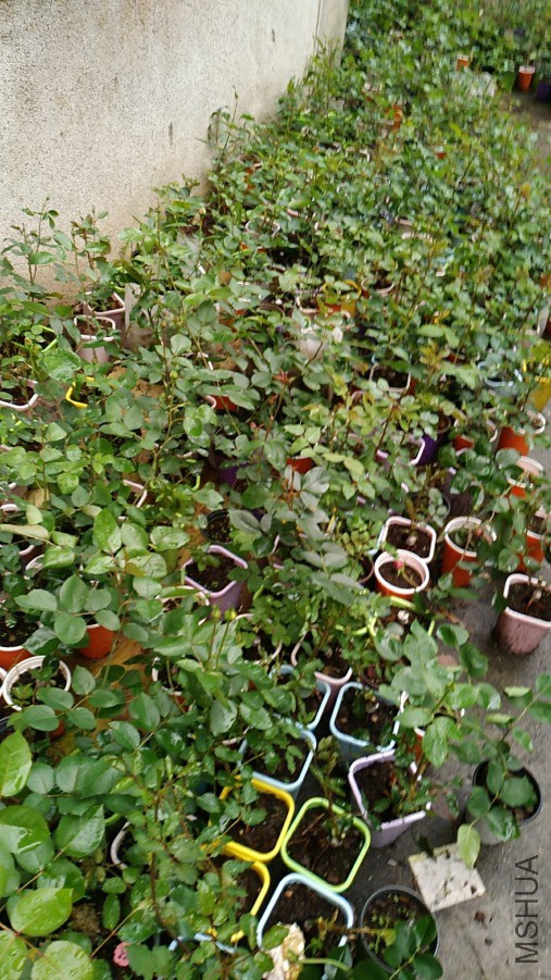 wx_camera_1555582727732.jpg